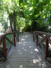 wooden bridge in the park