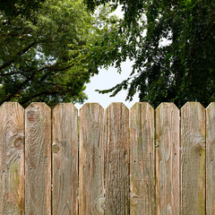 Privacy and security provided by a rustic wood backyard fence with green shade trees background