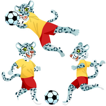 Three snow leopards as the footballers in uniform in dynamic poses with the soccer ball
