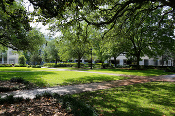 View of Wright Square, Savannah Georgia