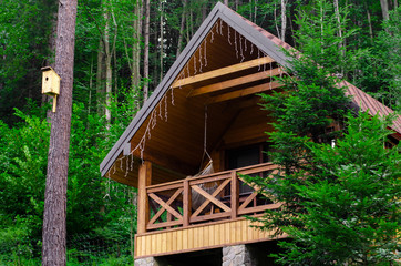 wooden cabin in the forest