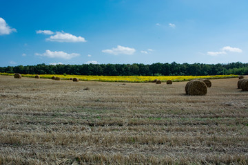 rural landscape with bales of hay