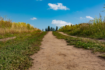 Fototapeta premium road in the field