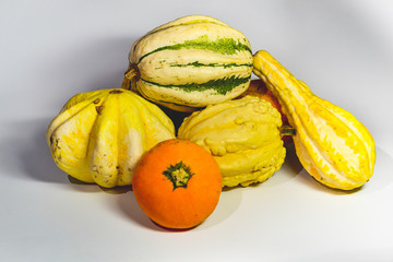 beautiful decorative pumpkins on a white background