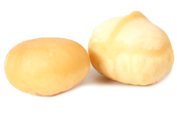 Macadamia nut isolated on a white background
