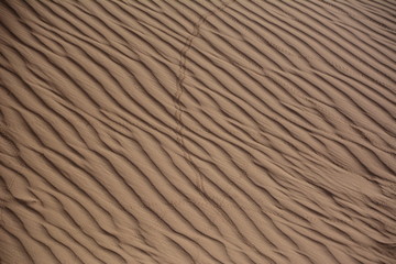 ripples in the sand