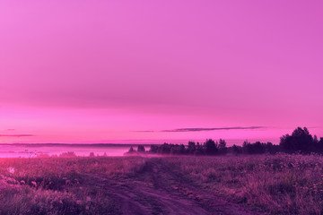 Obraz na płótnie Canvas Purple sunrise in the field. Pink summer morning