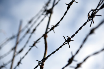 Fototapeta na wymiar Barbed wire. Barbed wire on fence with blue sky to feel worrying.