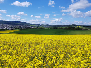 Obraz premium Landschaft, Taunus, Hessen