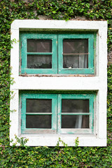 Obraz premium Ancient house window Covered with vines or climber