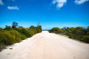 Ocean - Beach