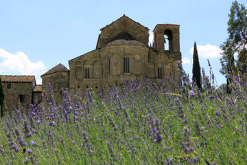 The pieve of S. Pietro in Romena behind a field of lavender flowers. Tuscany, Italy.