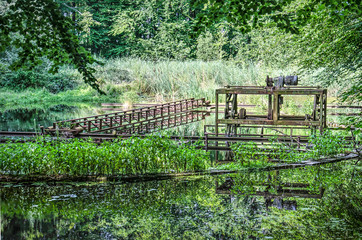 Clearing in the dense forest in former hydraulic laboratory Waterloopbos (Hydraulic Forest), a...