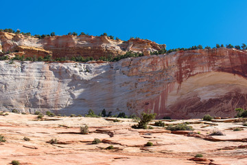 Zion National Park landscape of colorful massive stone wall and foreground