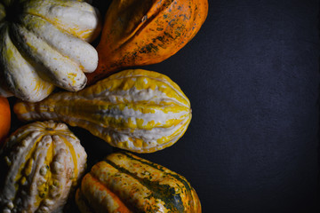beautiful decorative pumpkins on a black background