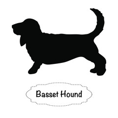 Vector isolated silhouette of basset dog on white background.