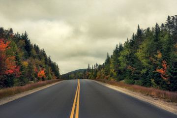 The road running among the mountains overgrown with autumnal bright forest and dramatic sky.White Mountain National Park. USA. New Hamshire.  