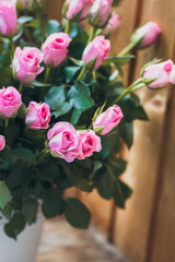Gorgeous bouquet of flowers in a white pot. Pink and raspberry roses in a vase on the window.
