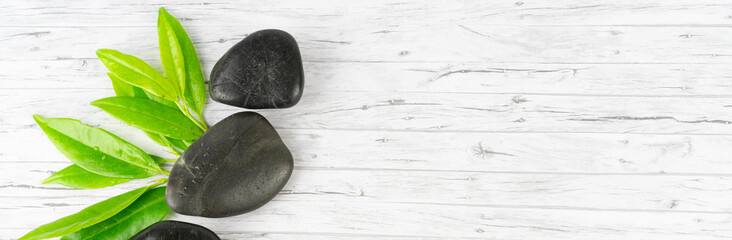 Black stones and a green plant branch on wood background, copy space, banner