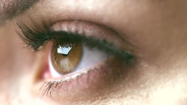 Beauty woman eye makeup closeup. Beautiful holiday make-up for brown eyes. False eyelashes. Slow motion 4K UHD video footage. 3840X2160
