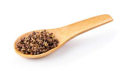 Szetchwan pepper in wood spoon on white background