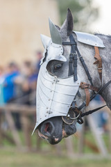 A white horse face with a protective helmet