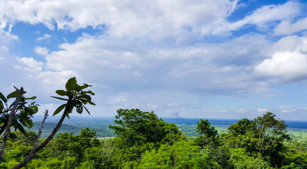 Fototapeta na wymiar beautiful high top view of landscape mountain and nature of the rain forest in Sakon Nakhon Province, Thailand. It's a good place for travel and relaxing in the forest