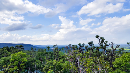 Fototapeta na wymiar beautiful high top view of landscape mountain and nature of the rain forest in Sakon Nakhon Province, Thailand. It's a good place for travel and relaxing in the forest