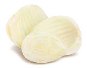 fennel