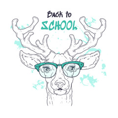 Vector hand drawn illustrations. Portrait of cute realistic deer in glasses.