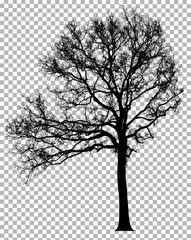 Silhouette dead tree without leaves isolated on transparent background. Clipping path included