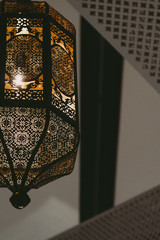 Arabic Light vibes