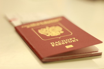 autumn, track, tree, leaves, walk