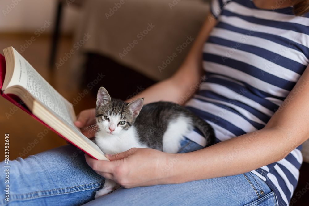 Sticker woman and a kitten reading a book