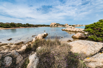 Obraz premium Alberello beach in Sardinia, Italy.