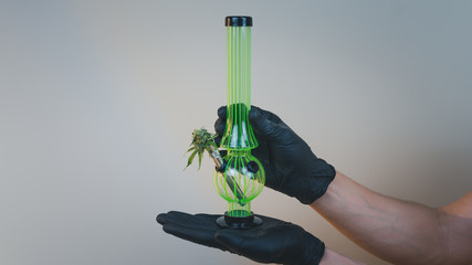 The person hold in his hand bong with fresh medical marijuana buds. Concept of smoking cannabis.