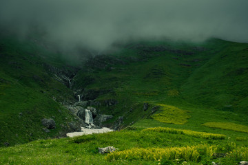 Fototapeta premium Valley of flower on mountains of Uttarakhand India