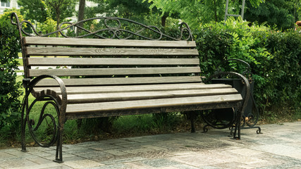 Wooden bench with metal art forging in the amusement park. Brown bench on the green background of nature.