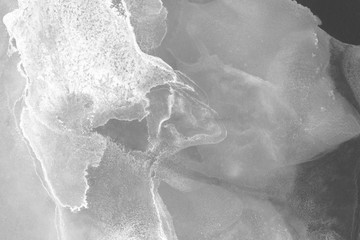 Hand painted white alcohol ink background. Abstract delicate gray texture. Contemporary wallpaper.