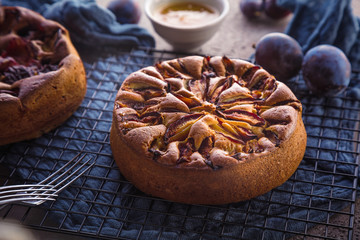 close-up view of delicious sweet fruit pie with plumes   