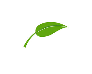 Green leaf ecology nature element vector icon