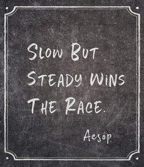 Fototapeta premium wins the race Aesop