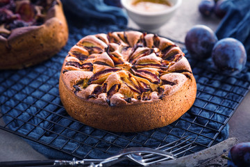 close-up view of delicious sweet fruit pie with plumes   