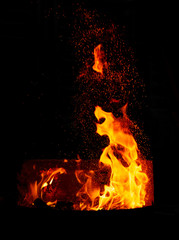 Abstract fire at night on a black background.