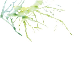 Abstract green line pattern with white isolated background,gradient ink blots. watercolor hand printing-illustration.