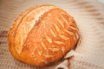 Fototapeta premium The most useful bread on wheat ferment at home