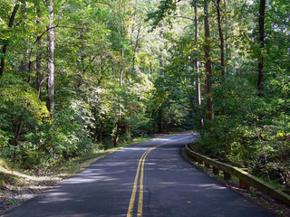 Forest Road