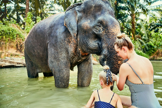 Mother and daughter washing an elephant at an animal sancturay
