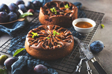 close-up view of delicious sweet fruit pie with plumes   