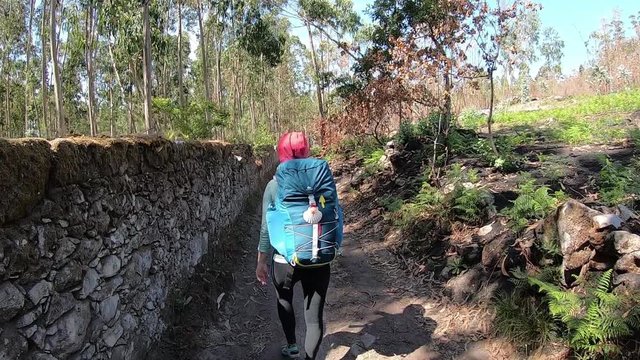 Girl goes on the trail. Camino de Santiago through Vila Praia De Ancora. Camino Portugues.